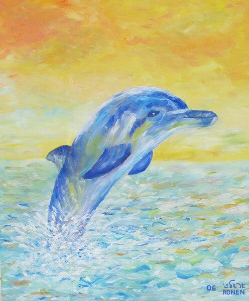 דולפין 50\60